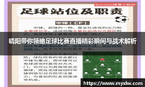 米乐yy易游体育