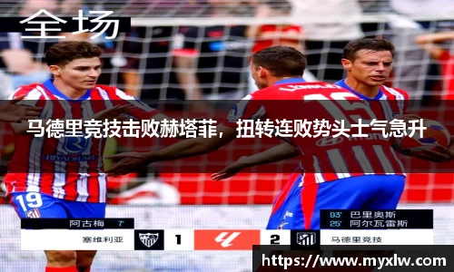 米乐yy易游体育